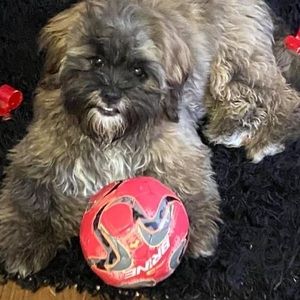 Meet your Posher, Paris